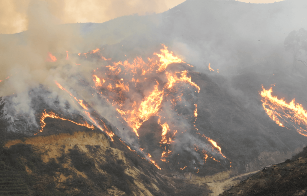 Wildfire Detection Archives Insight Robotics