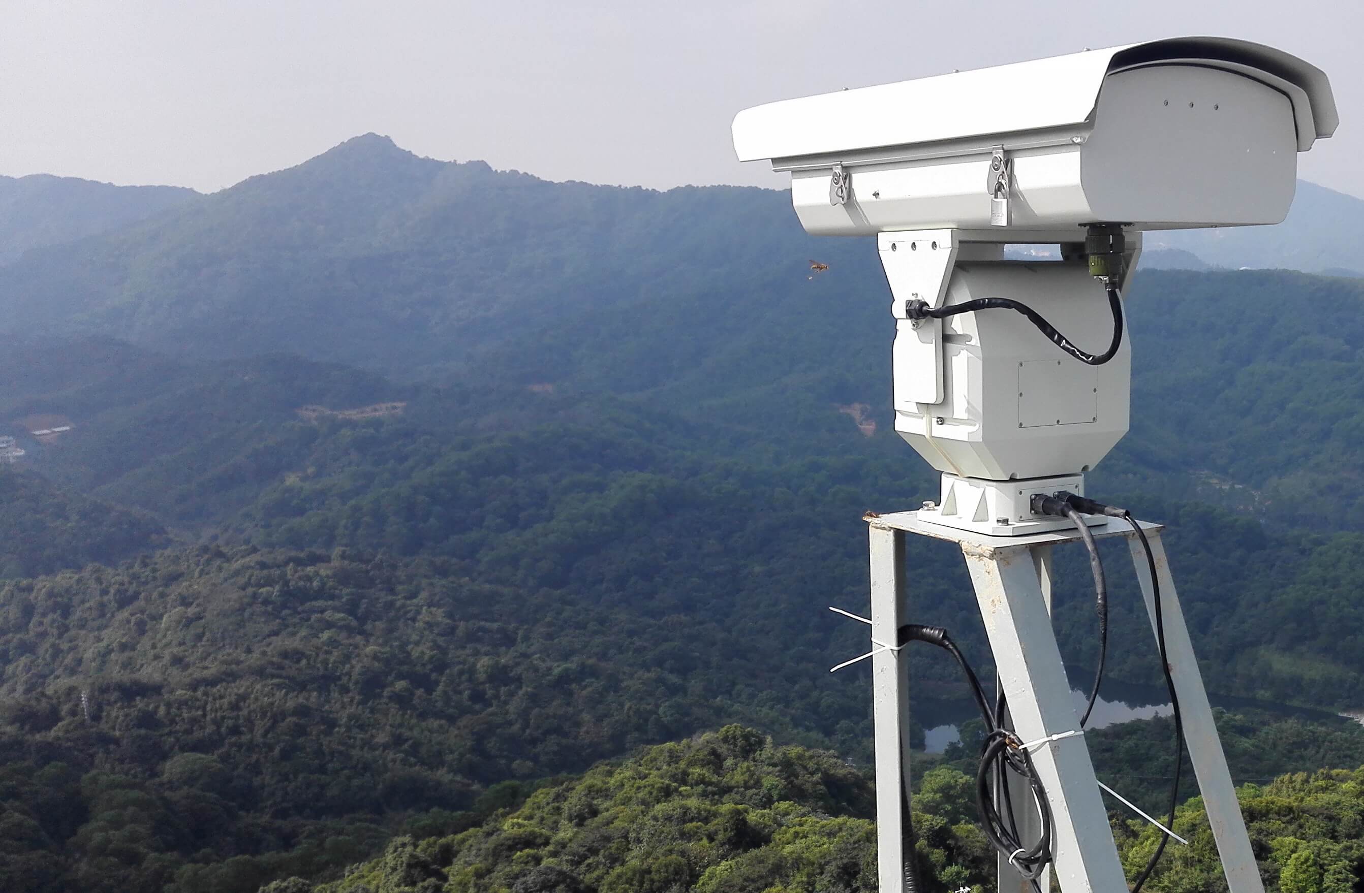 Insight Robotics Wildfire Detection Robot surveying land