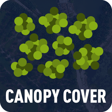 Canopy Cover
