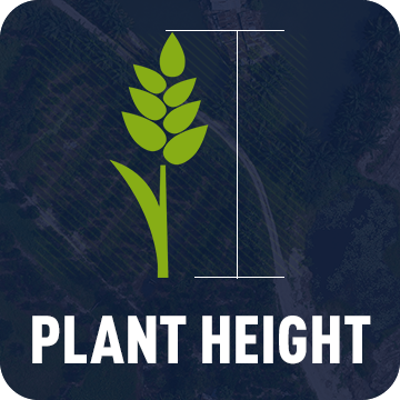 Plant Height